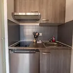 L'areneparking Privewifibalconpiscine Apartment
